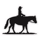 Western Pleasure cowgirl rider